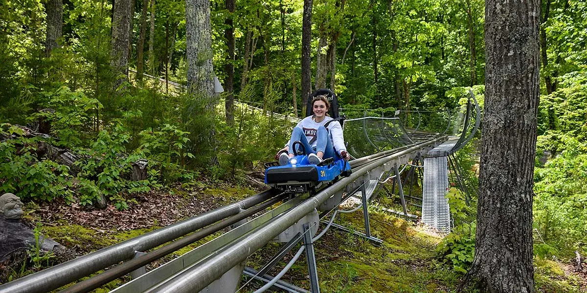 Goats on the roof mountain coaster