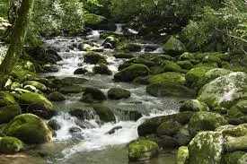 Roaring Fork Motor nature Trail